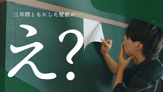 【賃貸】はがせる壁紙って本当に剥がせるの？三年間使い込んだ結果… [upl. by Dijam]