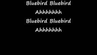 Bluebird  With Lyrics  Paul McCartney amp Wings [upl. by Pacifica]