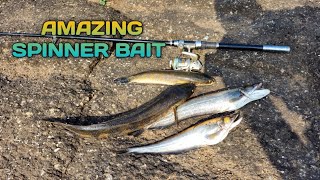 Amazing Spinner Bait Fishing  Bade Dino Bad Aaj behtrin Sikar Huva [upl. by Harlamert]