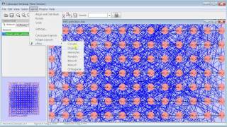 Residue Interaction Network Example [upl. by Yssor]