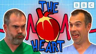 Learn how HEARTS work with Dr Chris and Dr Xand  Operation Ouch  CBBC [upl. by Nwahser]