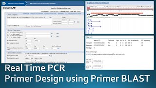 Primer designing for real time PCR using NCBI Primer Blast [upl. by Naryt]