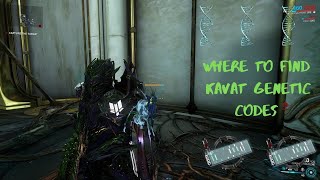 Where to find Kavat Genetic codes [upl. by Donahoe]