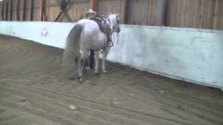 Teach Your Horse to Sidle Up to the Mounting Block [upl. by Shannen]