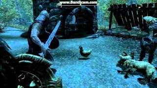 Skyrim Funny Glitch  Guard Does His Duty Too Well [upl. by Latsirhc179]