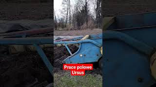 W swoim żywiole Ursus w polu sezon otwarty przygotowanie pod siew warzyw ursus polskawieś [upl. by Nedlog]