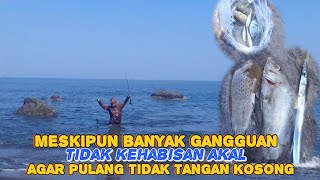 Mancing Pinggiran Umpan Hidup Jenis Runuh [upl. by Jarid912]