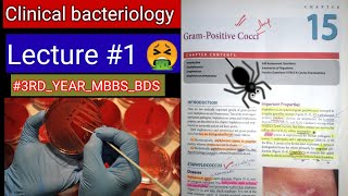 Bacteriology Clinical Classification 🛑 LECTURE 1 Grampositive Gramnegative thick bacteria [upl. by Lidstone]