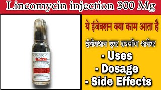 Lincomycin injection  Lincomycin injection kis kaam mein aata hai [upl. by Silvano]