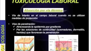 umh1898 201314 Lec16 Toxicología Laboral [upl. by Ellerihs17]