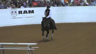 2014 Fort Worth Extreme Mustang Makeover Freestyle Finals [upl. by Asek983]