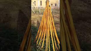 Osage Orange sioux bows from Flagella Dei workshop [upl. by Gilges]