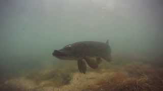 Cromford Canal Pike [upl. by Aitropal]