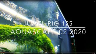 Juwel Rio 125 Aquarium  Aquascape [upl. by Leitao]