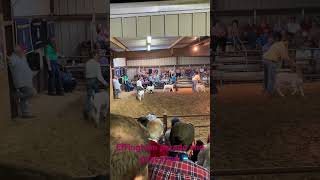 Effingham parade for officers and members and goat show at effingham fair [upl. by Arlee]