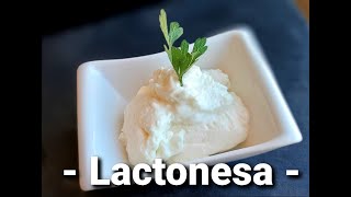 LACTONESA con THERMOMIX® MAYONESA sin huevo [upl. by Recha431]