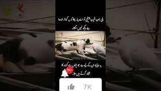 Allah har cheez pr qudrat rakhta hymotivation youtubeshorts viralshort foryou [upl. by Roosevelt227]