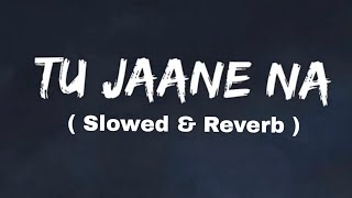 Tu Jaane Na  Slowed amp Reverb   Ajab Prem Ki Ghazab Kahani  Atif Aslam [upl. by Anailil]