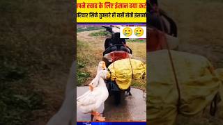 बिछड़ने का दर्द सबको होता है shortsvideo viralvideo sad animals [upl. by Balkin]