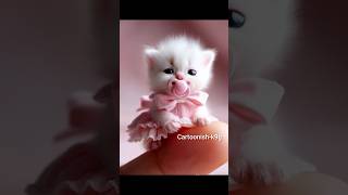 Miniature shorts cute shortsviral miniature trending [upl. by Aschim912]