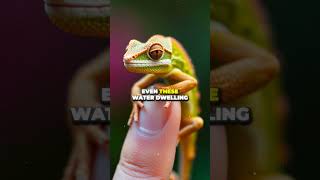 Animals With Hidden Powers You Won’t Believe 🐉🦊  Shocking Secrets Revealed shorts [upl. by Ieso]