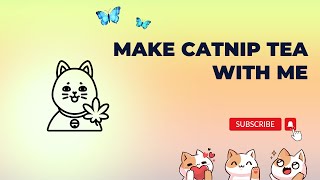 How to Make Catnip Tea 🫖 🐈 🌿 Complete Tutorial catnip catsofyoutube cats catniptea [upl. by Crescin467]