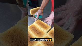 Milk Cake Making😍😋 Indian Street Food [upl. by Nilesoj]