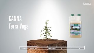 US CANNA Terra Vega [upl. by Ryley]