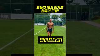 오늘자 린가드 한국어 근황 린가드 lingard [upl. by Annoirb]