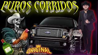 Puros Corridos Perrones ✴️✴️ [upl. by Mallis]