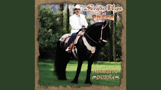 Necesito Dueña Ranchera Version [upl. by Trisa]