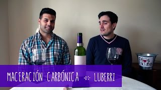 ¿Qué es un vino de Maceración Carbónica  LUBERRI DO RIOJA [upl. by Haye583]