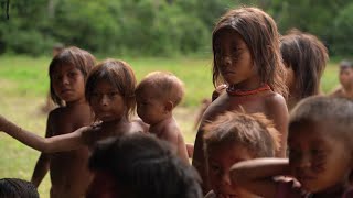 Dans la forêt amazonienne les Indiens Yanomami victimes de la ruée vers l’or [upl. by Llig]