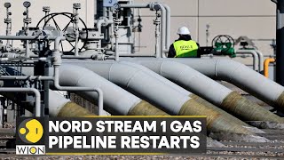 German regulator confirms gas flows through Nord Stream 1  WION [upl. by Pegasus330]