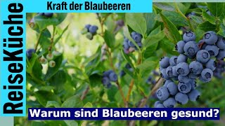 ReiseKüche gesund Warum Blaubeeren so gesund sind [upl. by Anilehs984]