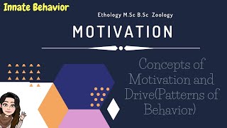 Motivation Innate behavior Patterns of Behavior Concept of DrivesEthology MSc BSc Zoology [upl. by Zurc]