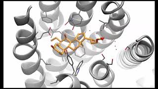 Binding mode of INT767 to GPBAR1 [upl. by Bumgardner]