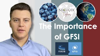 GFSI Food Safety Standards Explained [upl. by Misak]