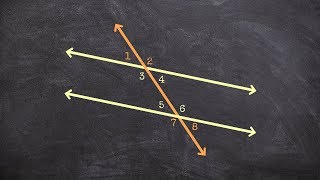 What is the Difference Between Interior and Exterior Angles [upl. by Ahsiemal]