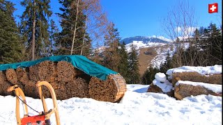 Sledding in Switzerland🇨🇭Wiriehorn toboggan run 5 km  WiriehornSchlittelweg [upl. by Placia528]