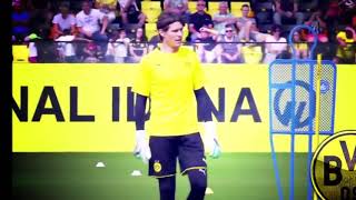 MARWIN HITZ TRAINING BORUSSIA DORTMUND [upl. by Auohc282]