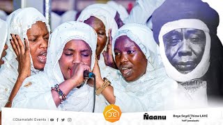 Intenses moments de Zikr Niane Baye Seydi Thiaw lahi 2023 [upl. by Anigar521]