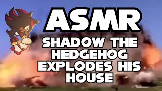 ASMR Shadow the Hedgehog explodes his house while trying to cook [upl. by Anas]