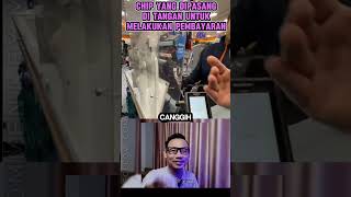 apa kamu juga sudah punya dikomen viralvideo komentar reaction [upl. by Marolda326]