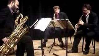 Aurelia Saxophone Quartet plays Ravel [upl. by Arakihc881]