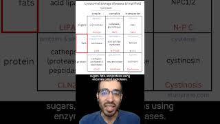 Learn about lysosomal storage diseases with this 3x3 grid [upl. by Nicolette]