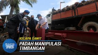 KELAPA SAWIT  56 Pemegang Lesen MPOB Diambil Tindakan [upl. by Milda]