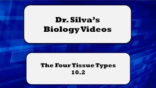 The 4 Tissue Types – 102 – Biol 189 [upl. by Eanil]