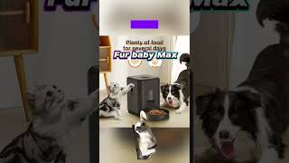 Automatic Pet Feeder with Smart Control [upl. by Wilmer]