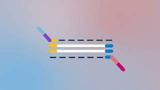 Illumina Target Enrichment Workflow [upl. by Kosaka]